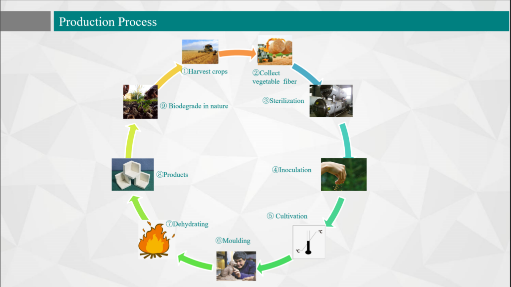 mushroom packaging production process